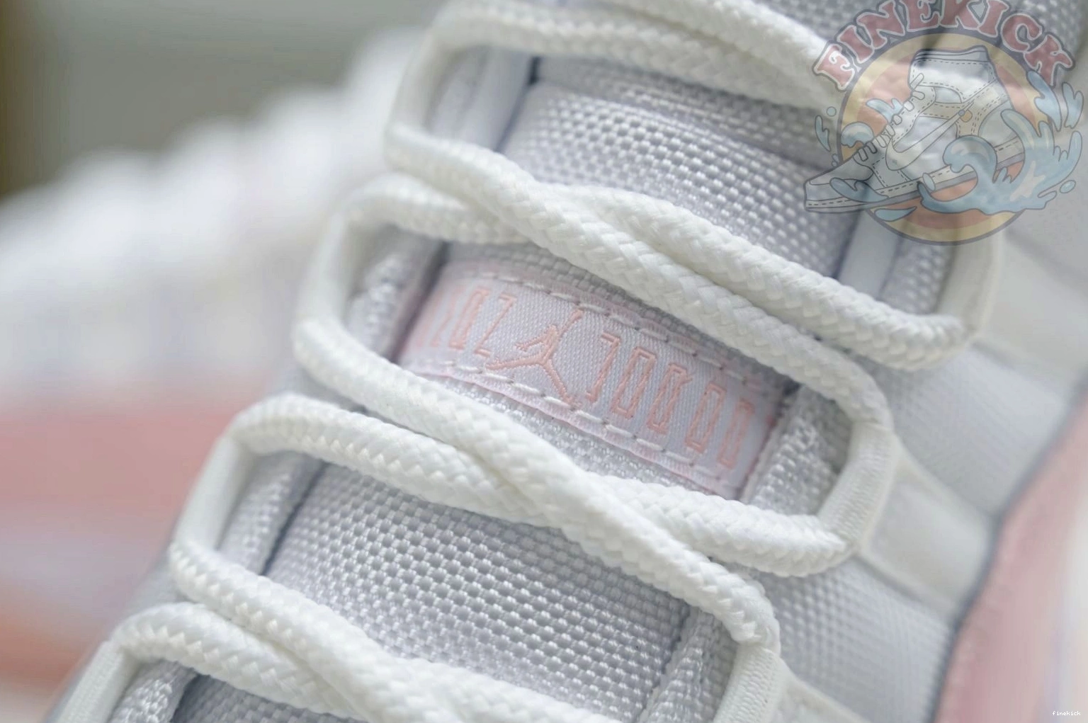 Low Jordan WMNS 11 Air Jordan 1003
